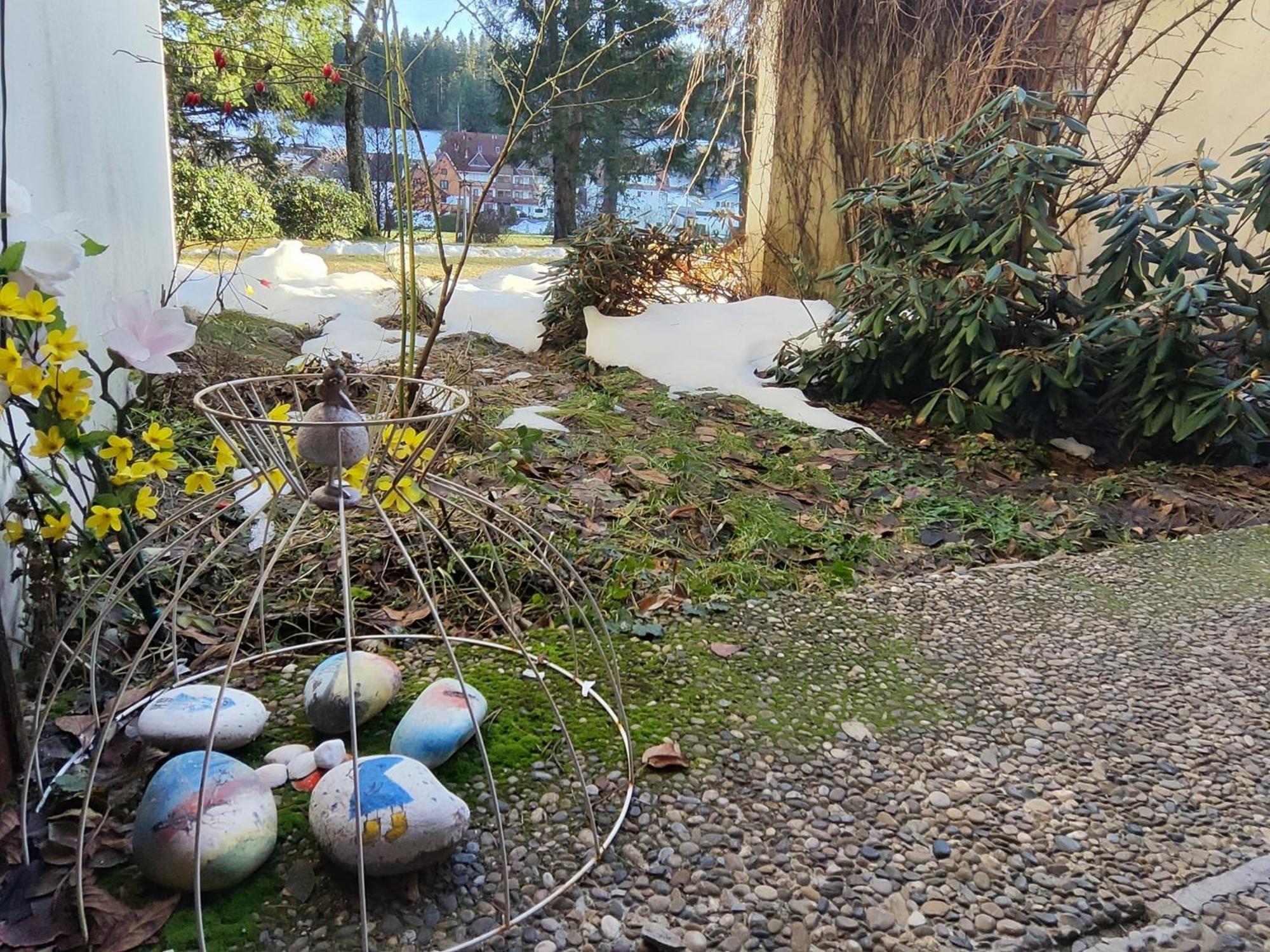 Ferienwohnung Schoene Wohnung 2D-Gebaeude Mit Mini-Garten Schoenwald im Schwarzwald Exterior photo
